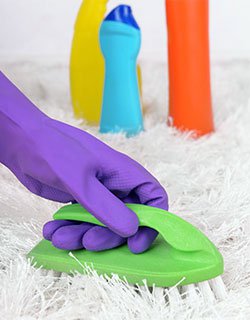 Сухе чищення килимів в домашніх умовах